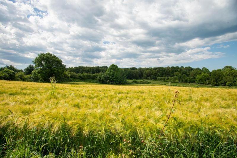 Vakantie Zuid Limburg Simpelveld Eksteriør bilde